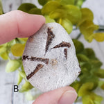Staurolite Fairy Cross Crystal on matrix Mineral, Russia
