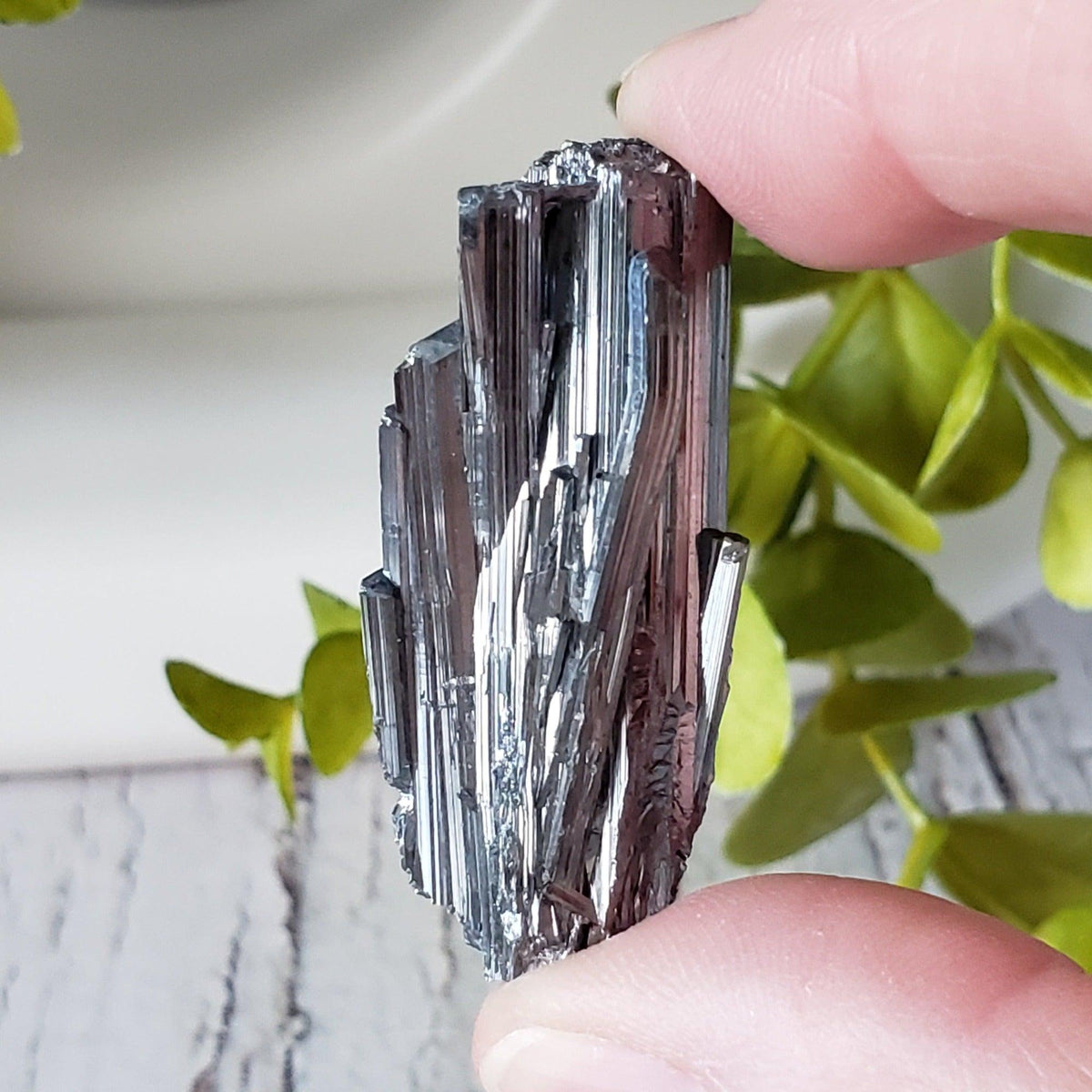  Stibnite Crystal Spray | Shiny Metallic Mineral | 19 Gr | Xikuangshan Mine, China 