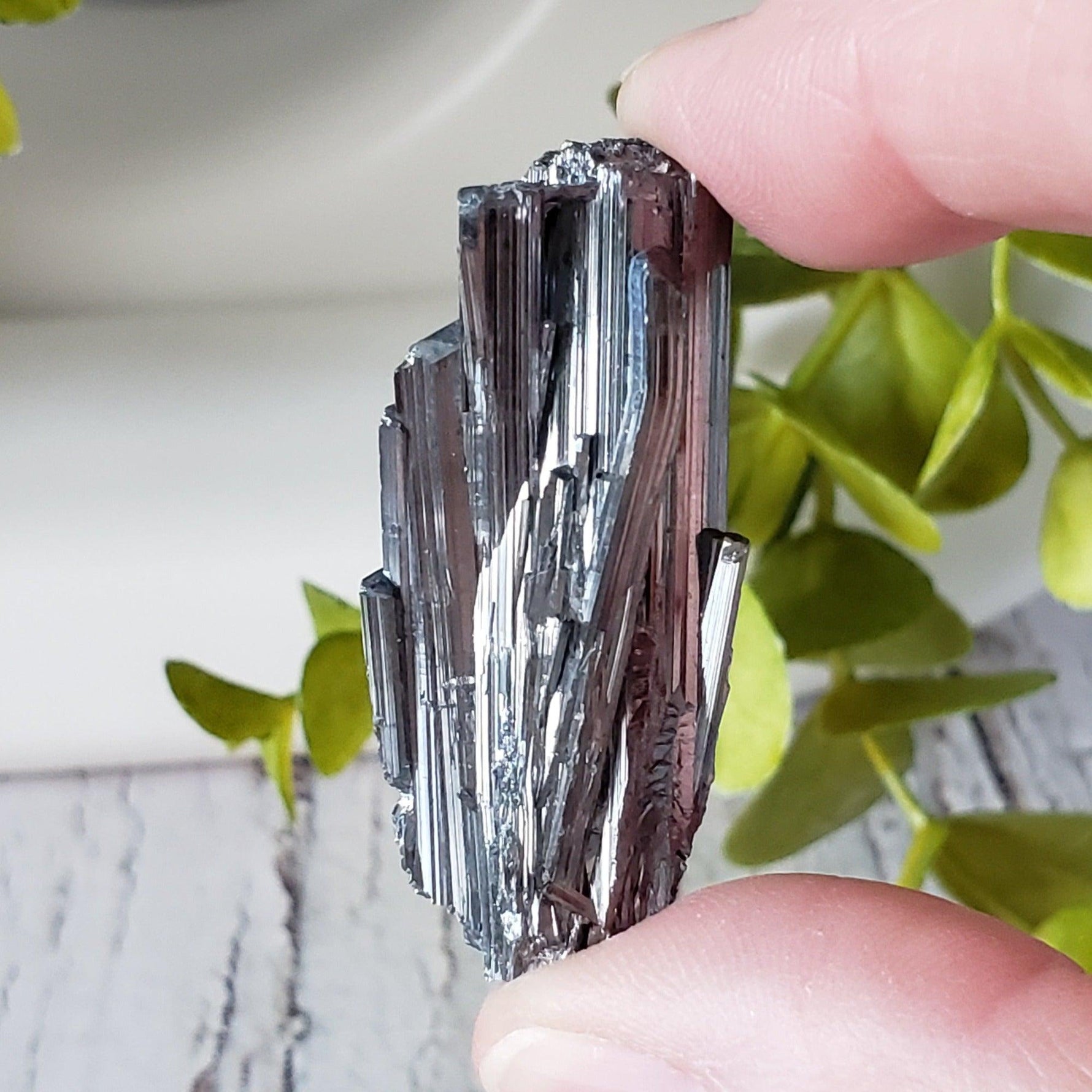  Stibnite Crystal Spray | Shiny Metallic Mineral | 19 Gr | Xikuangshan Mine, China 