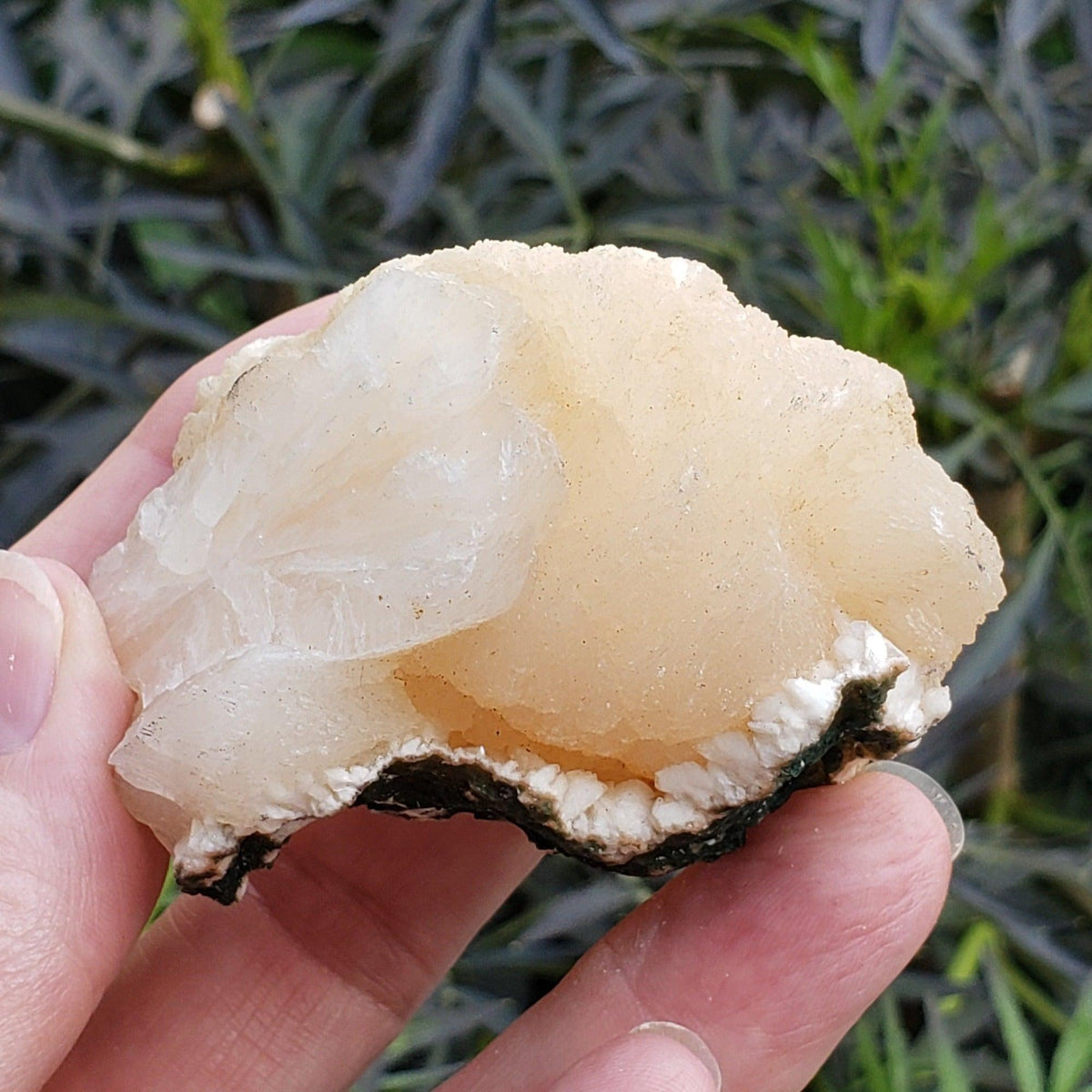  Stilbite Crystal | 121 grams | Raigad, India 