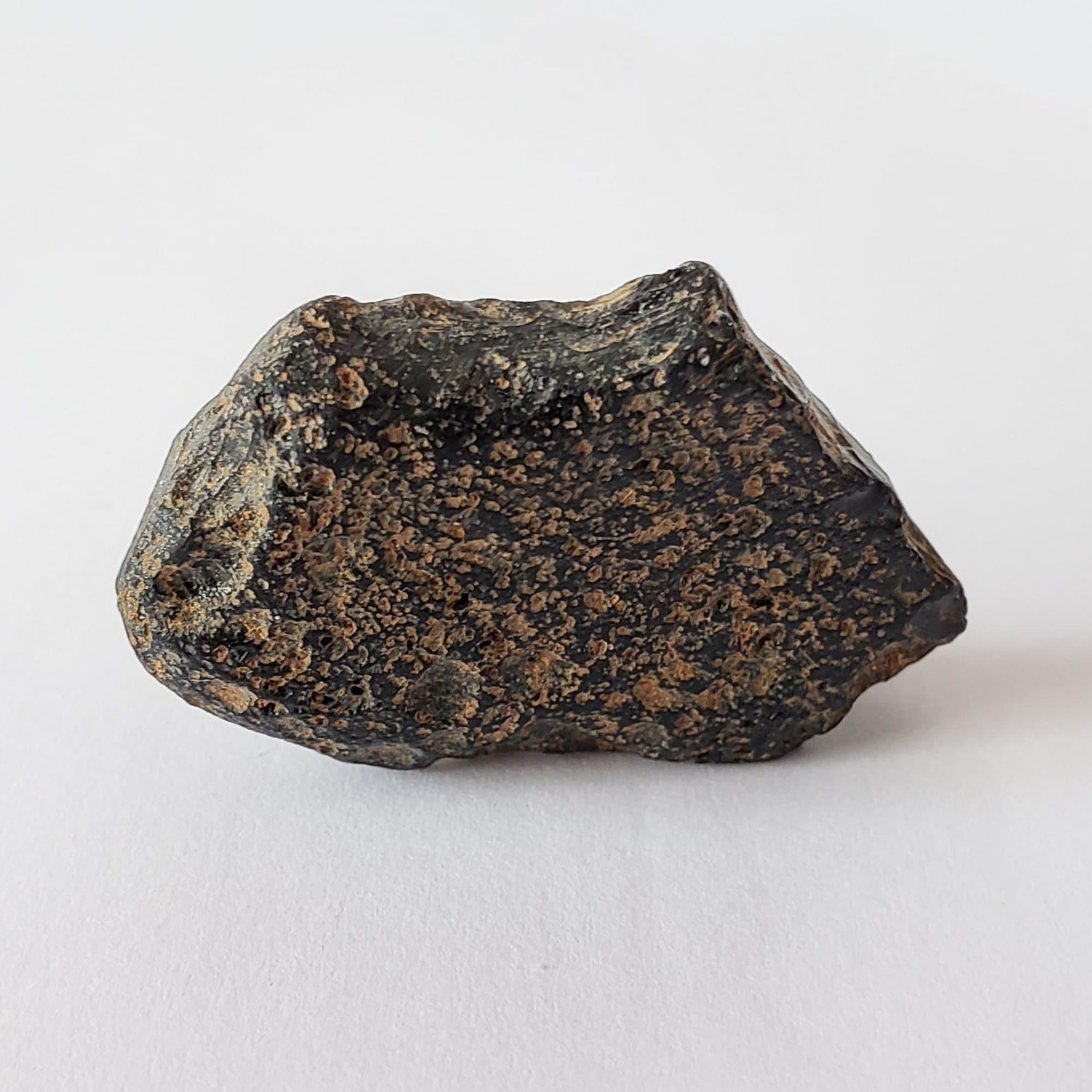 Indochinite Tektite | 6.4 grams | Impactite