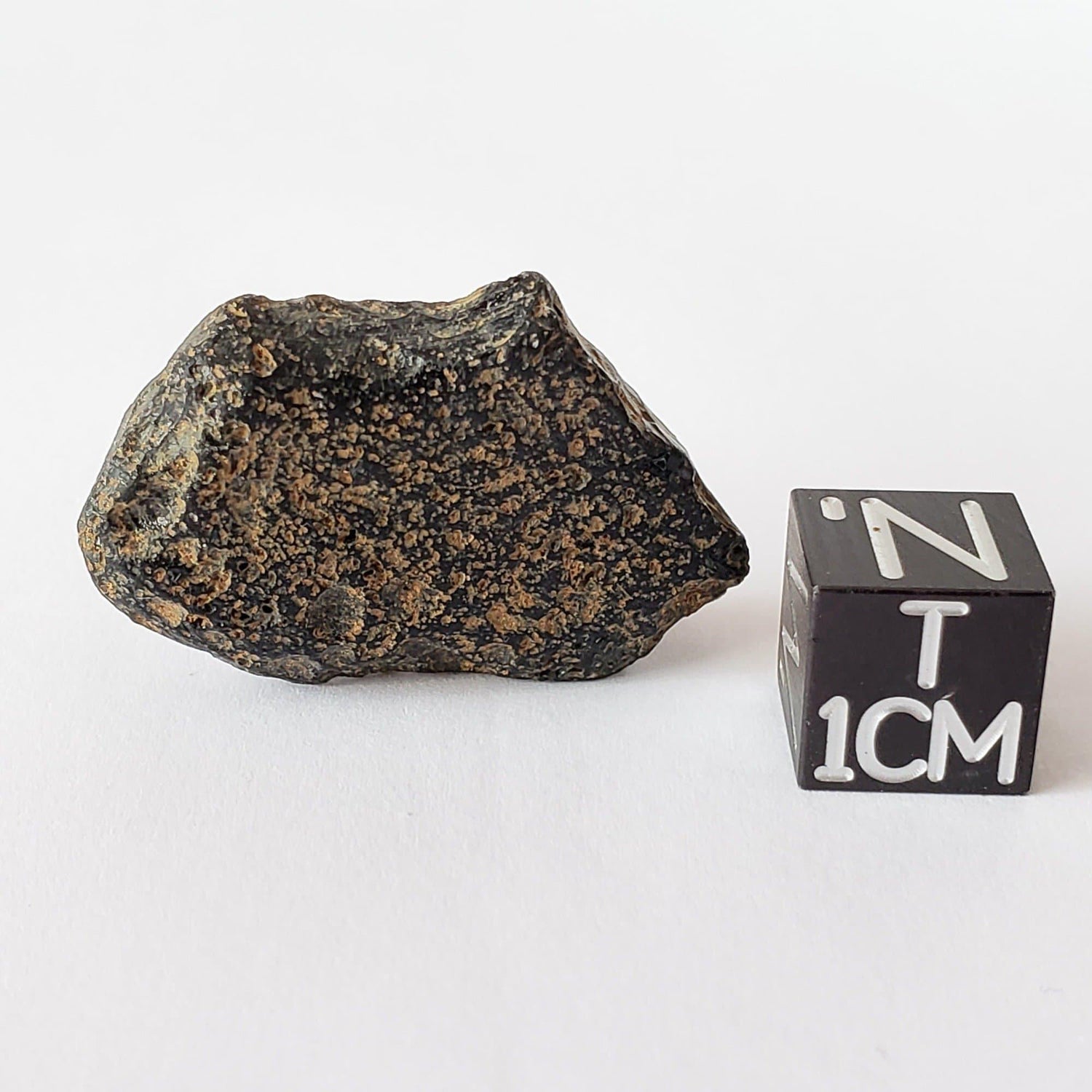 Indochinite Tektite | 6.4 grams | Impactite