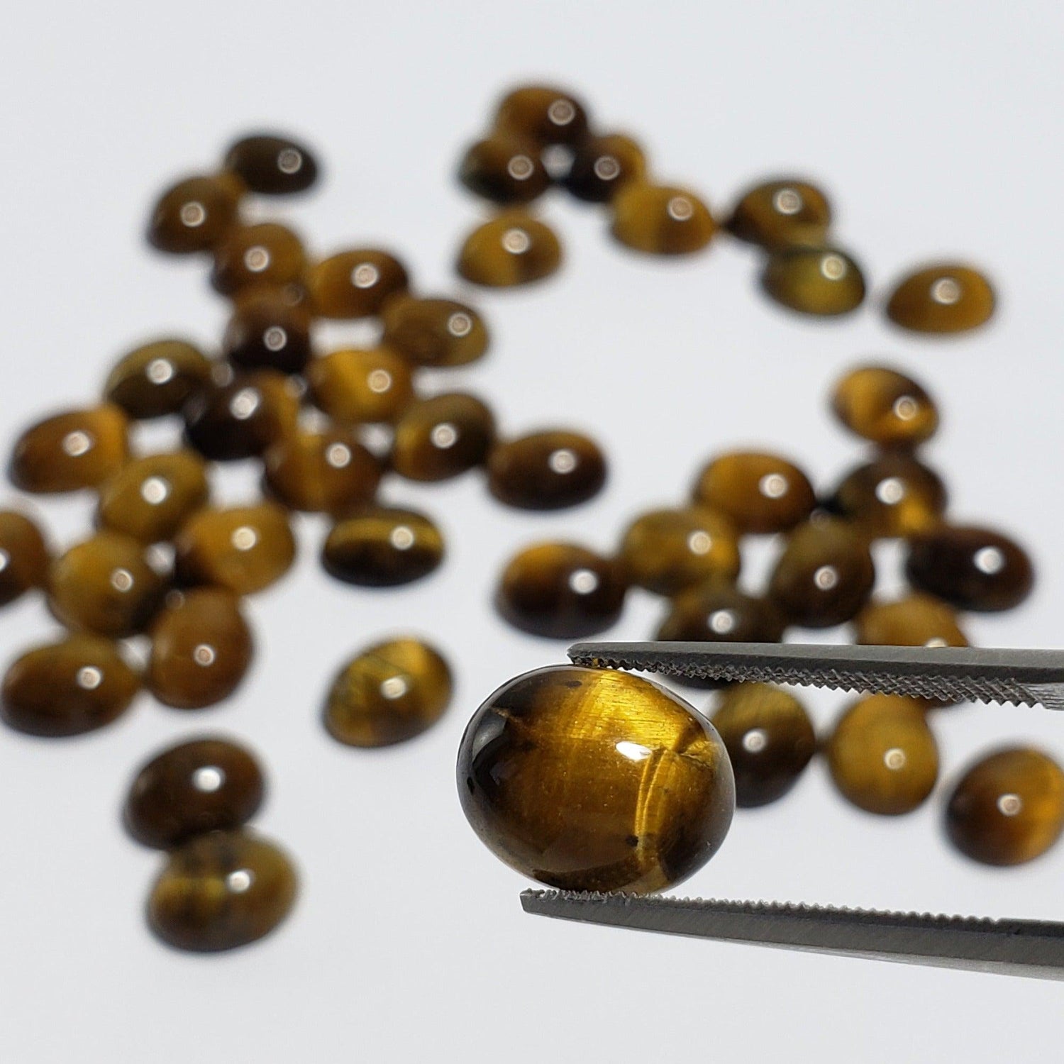  Tigers Eye | Oval Cabochon | Golden Brown | 11x9 mm 