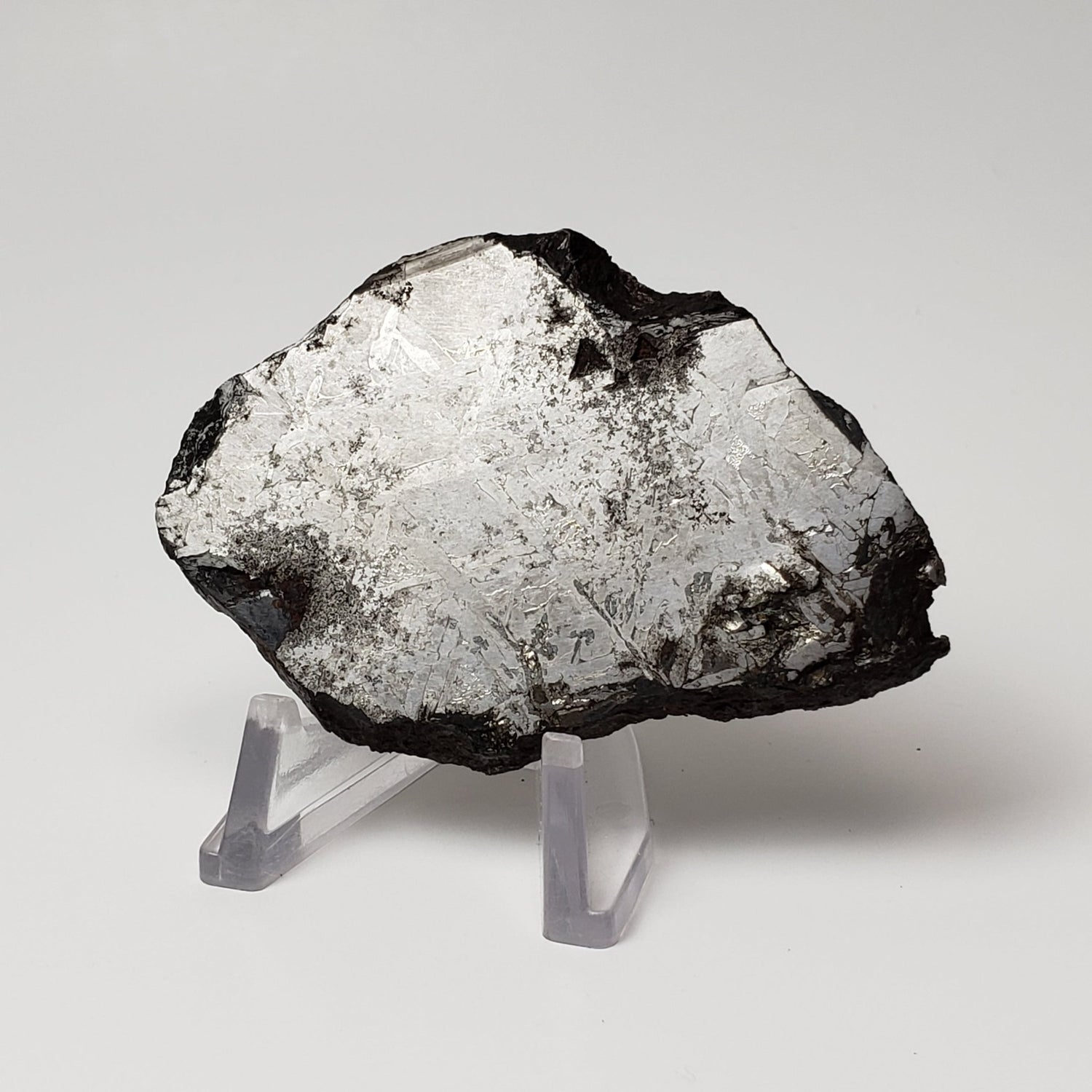 Toluca Meteorite | 65.3 grams | Etched Slice | Iron IAB-sLL | Xiquipilco, Mexico
