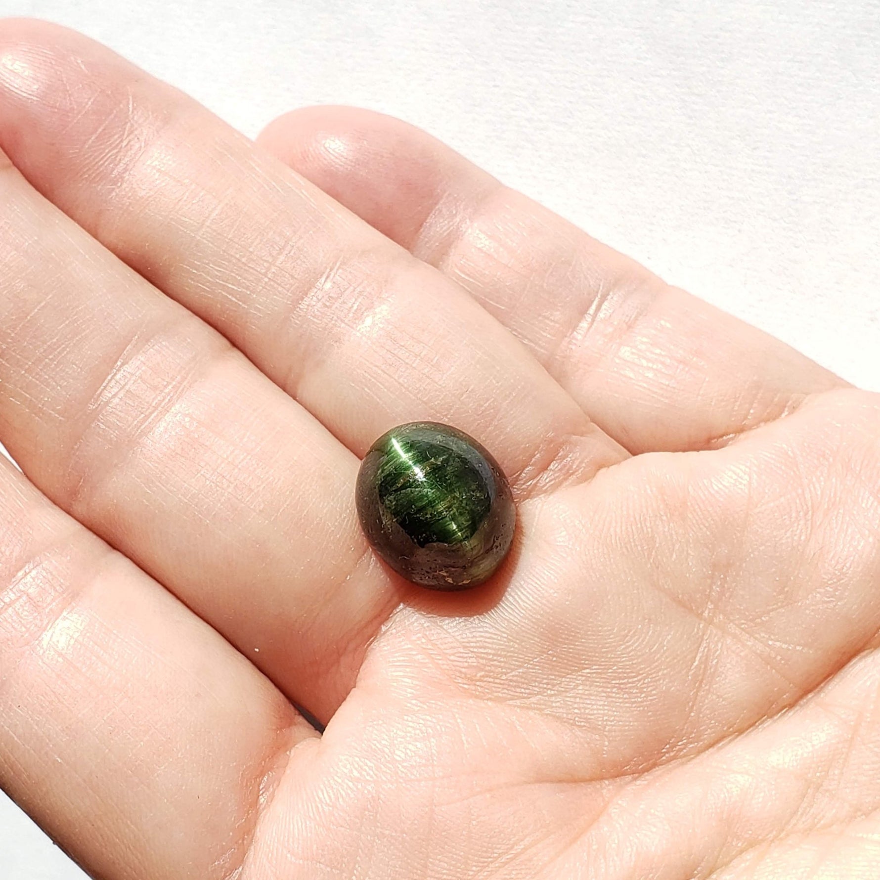  Tourmaline Cats Eye | Oval Cabochon | Forest Green | 15.3x13 mm 