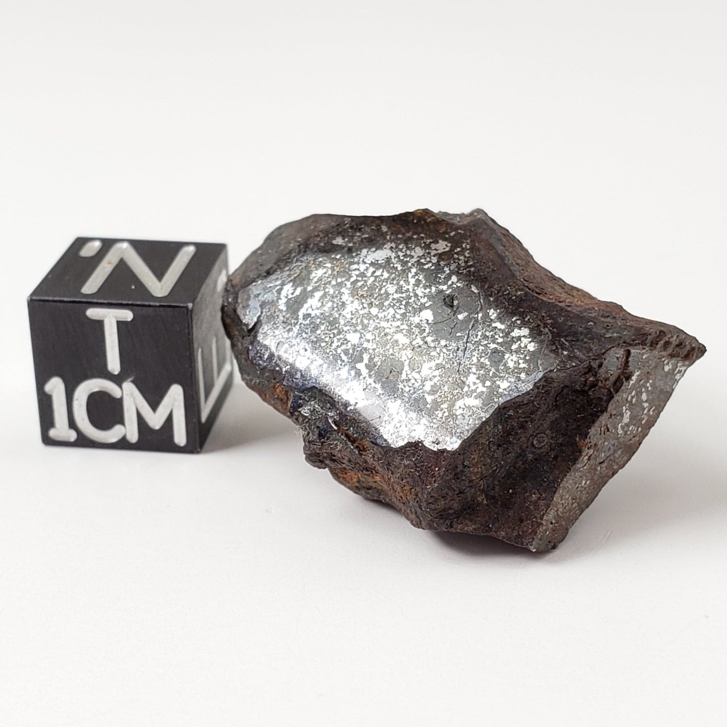 Vaca Muerta Meteorite | 10.42 Grams | End Cut | Mesosiderite A1 | Famous | Chile