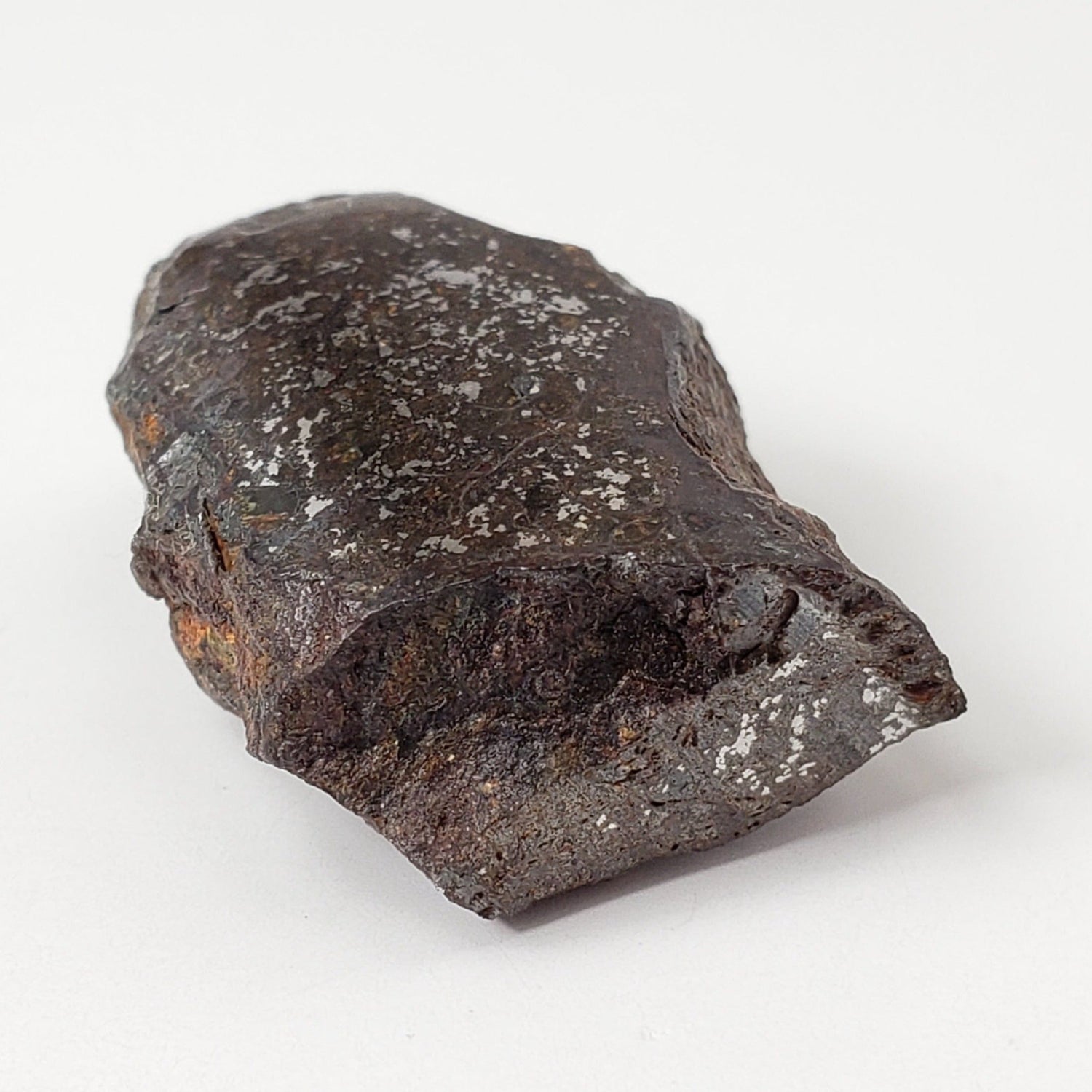 Vaca Muerta Meteorite | 10.42 Grams | End Cut | Mesosiderite A1 | Famous | Chile