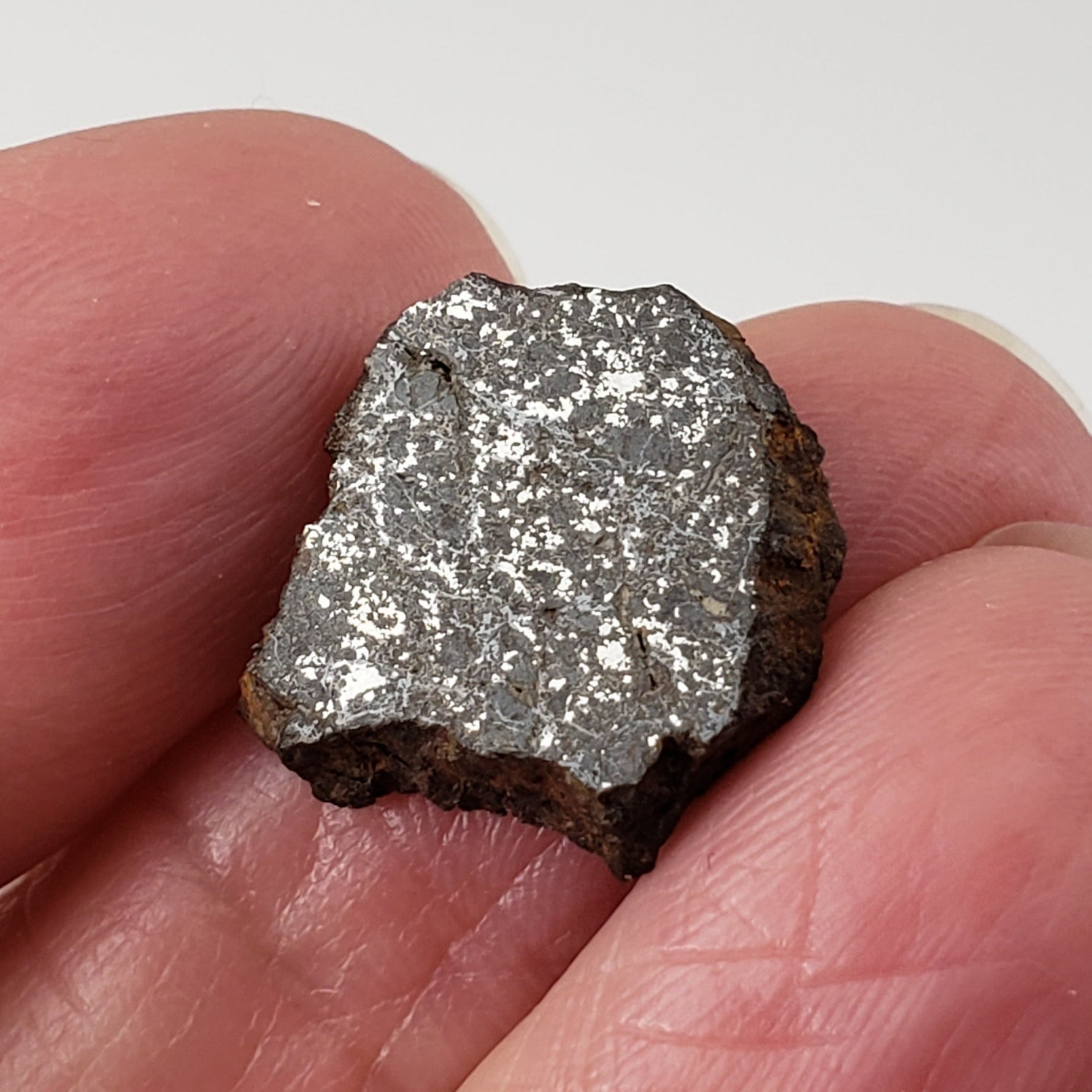  Vaca Muerta Meteorite 1.9 Grams | Slice | Mesosiderite A1 | Chile 