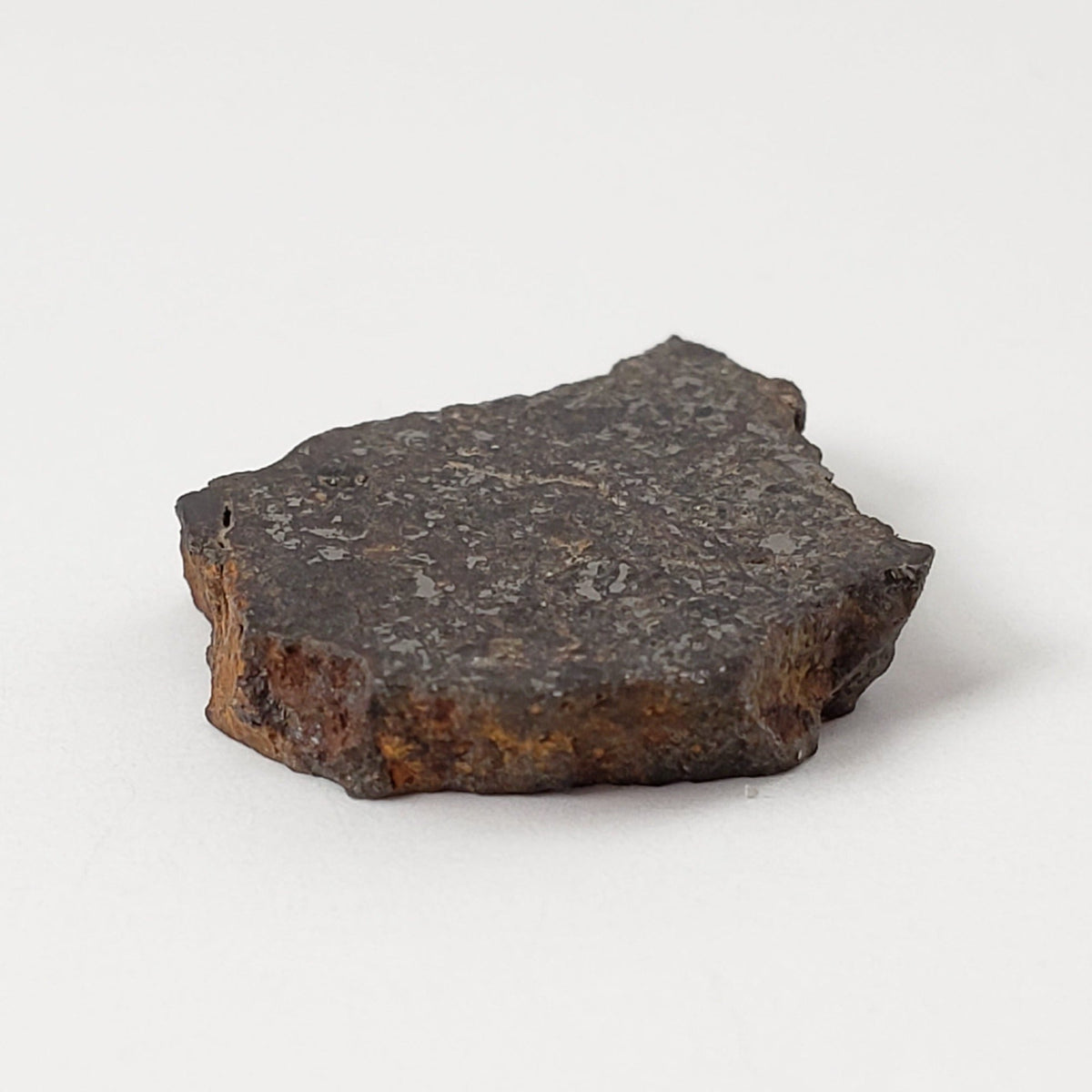  Vaca Muerta Meteorite 1.9 Grams | Slice | Mesosiderite A1 | Chile 