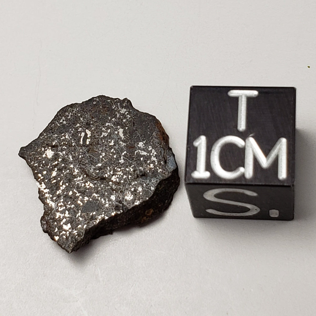  Vaca Muerta Meteorite 1.9 Grams | Slice | Mesosiderite A1 | Chile 