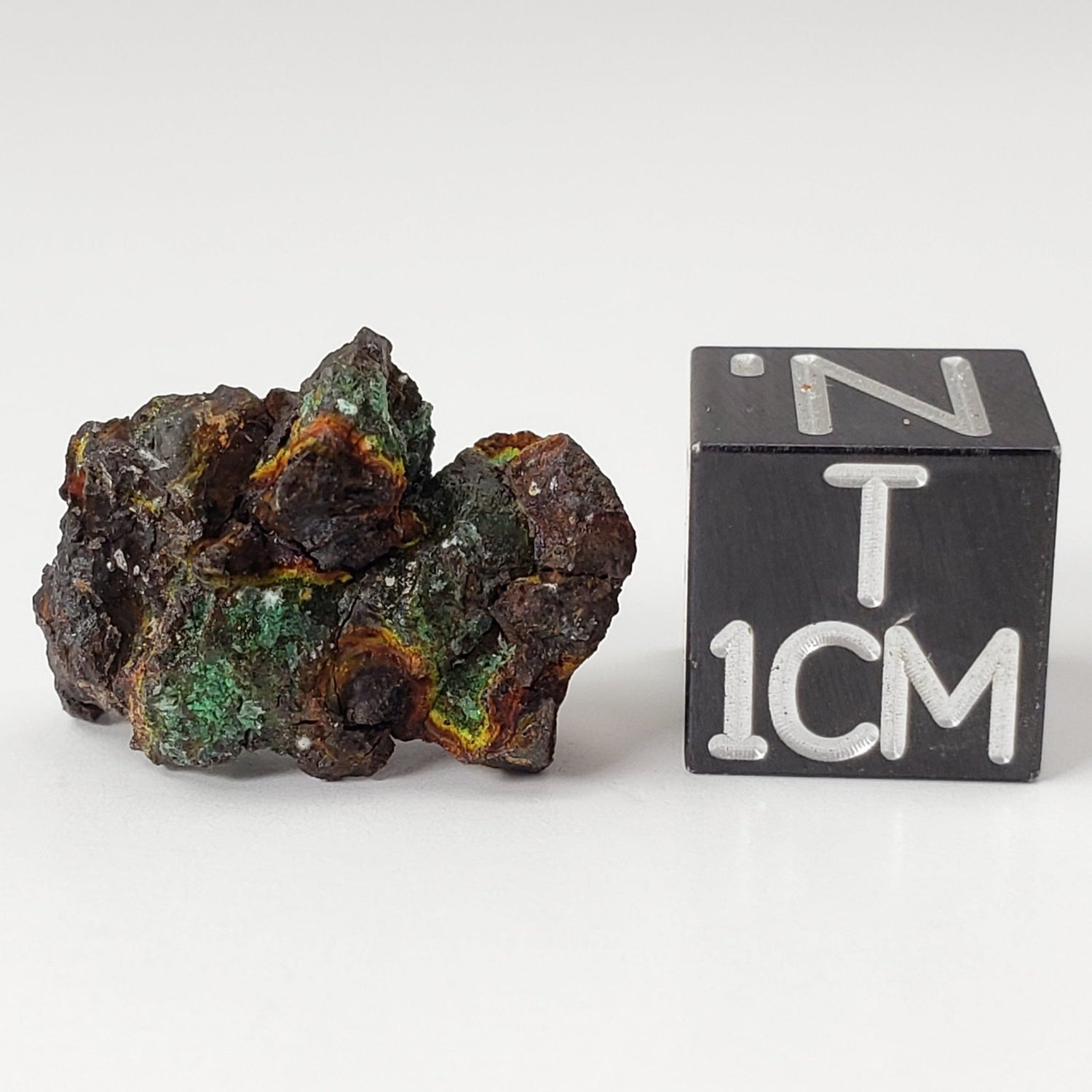 Vaca Muerta Meteorite | 2.4 Grams | Individual | Mesosiderite A1 | Chile