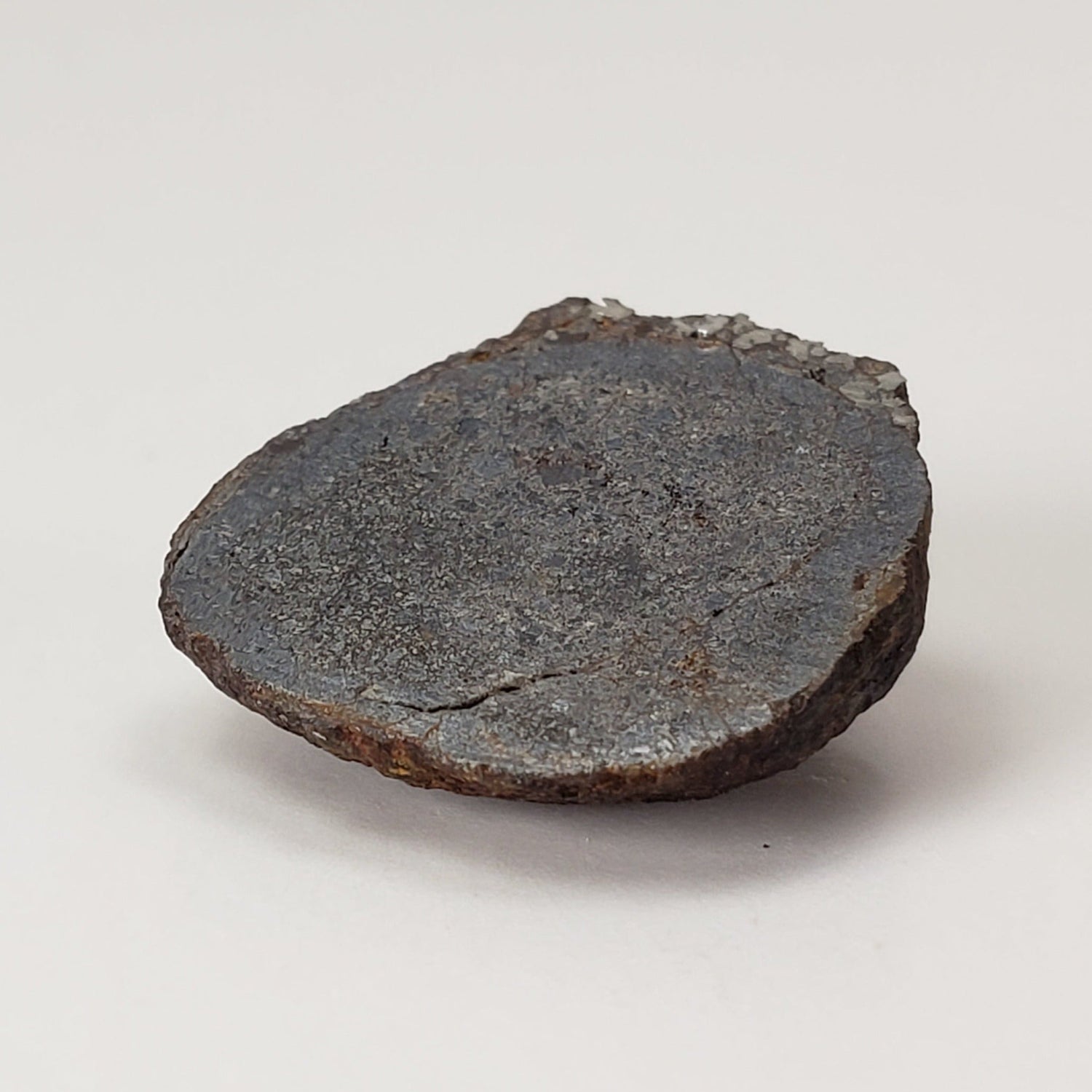 Vaca Muerta Meteorite | 2.76 Grams | End Cut | Mesosiderite A1 | Famous | Chile