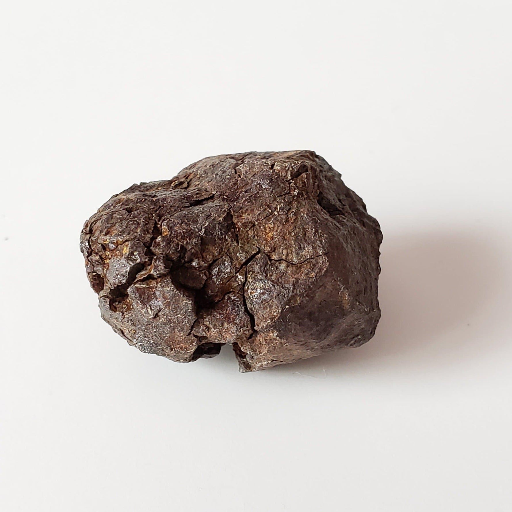  Vaca Muerta Meteorite | 34 Grams | Individual | Mesosiderite A1 | Famous | Chile 