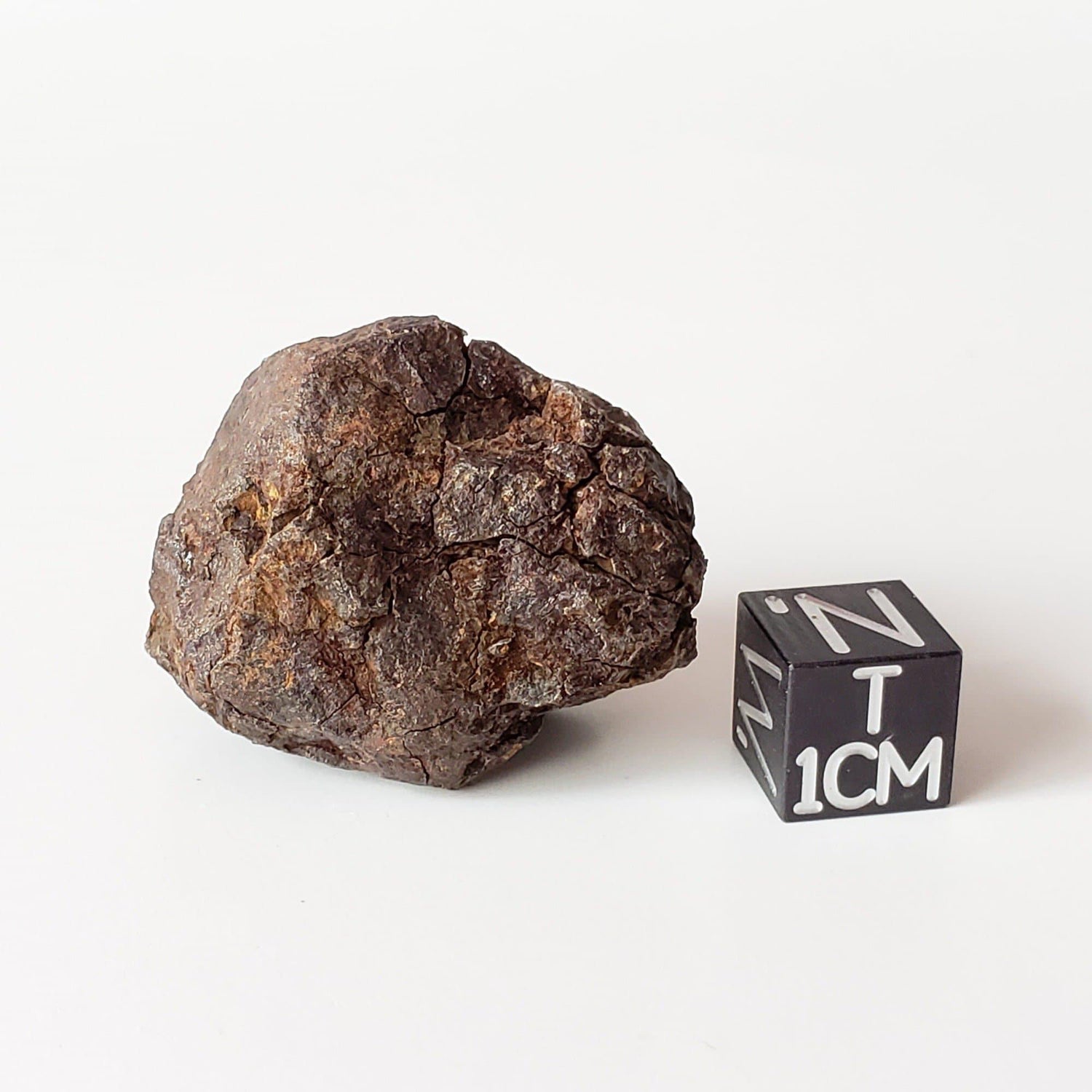 Vaca Muerta Meteorite | 34 Grams | Individual | Mesosiderite A1 | Famous | Chile