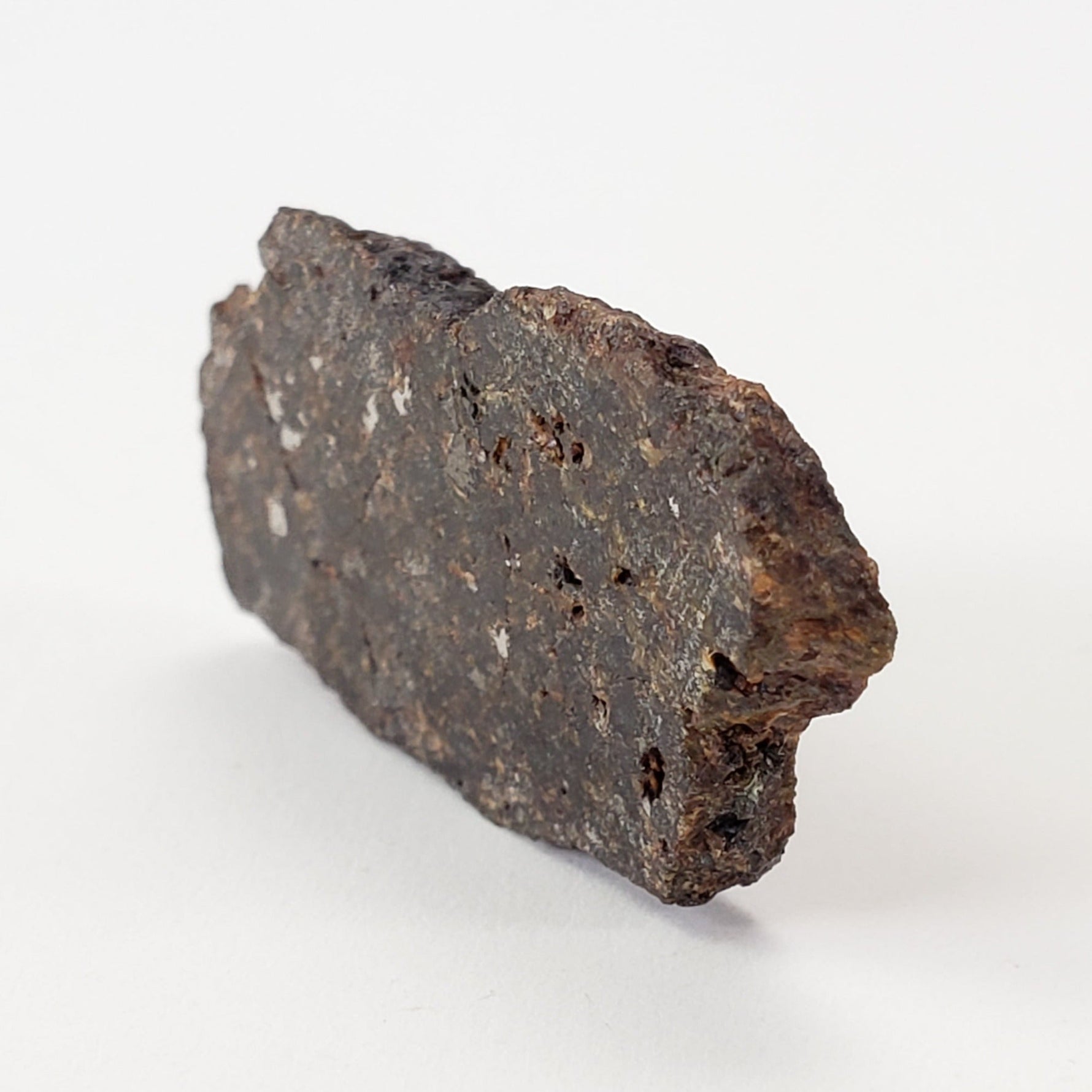  Vaca Muerta Meteorite | 3.50 Gr | Slice | Mesosiderite A1 | Chile 