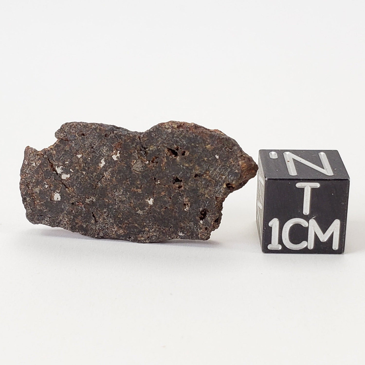  Vaca Muerta Meteorite | 3.50 Gr | Slice | Mesosiderite A1 | Chile 