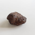 Vaca Muerta Meteorite | 40.52 Grams | Individual | Mesosiderite A1 | Chile