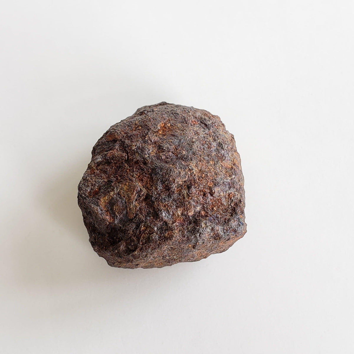 Vaca Muerta Meteorite | 40.52 Grams | Individual | Mesosiderite A1 | Chile