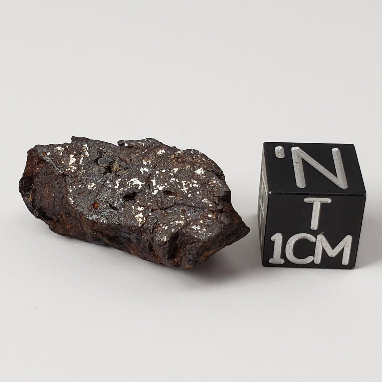 Vaca Muerta Meteorite | 5.2 Grams | End Cut | Mesosiderite A1 | Chile