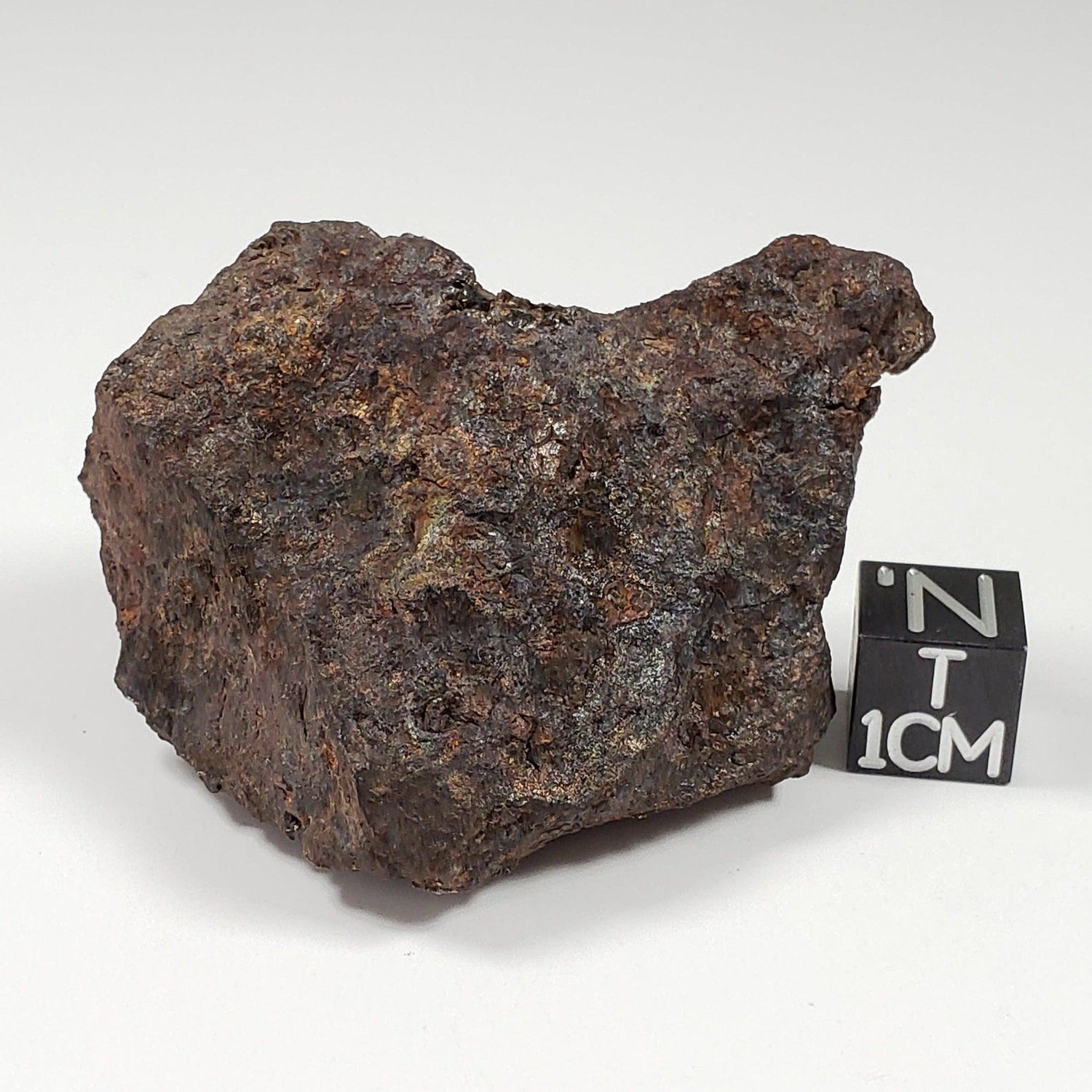 Vaca Muerta Meteorite | 84.4 Grams | Individual | Mesosiderite A1 | Chile