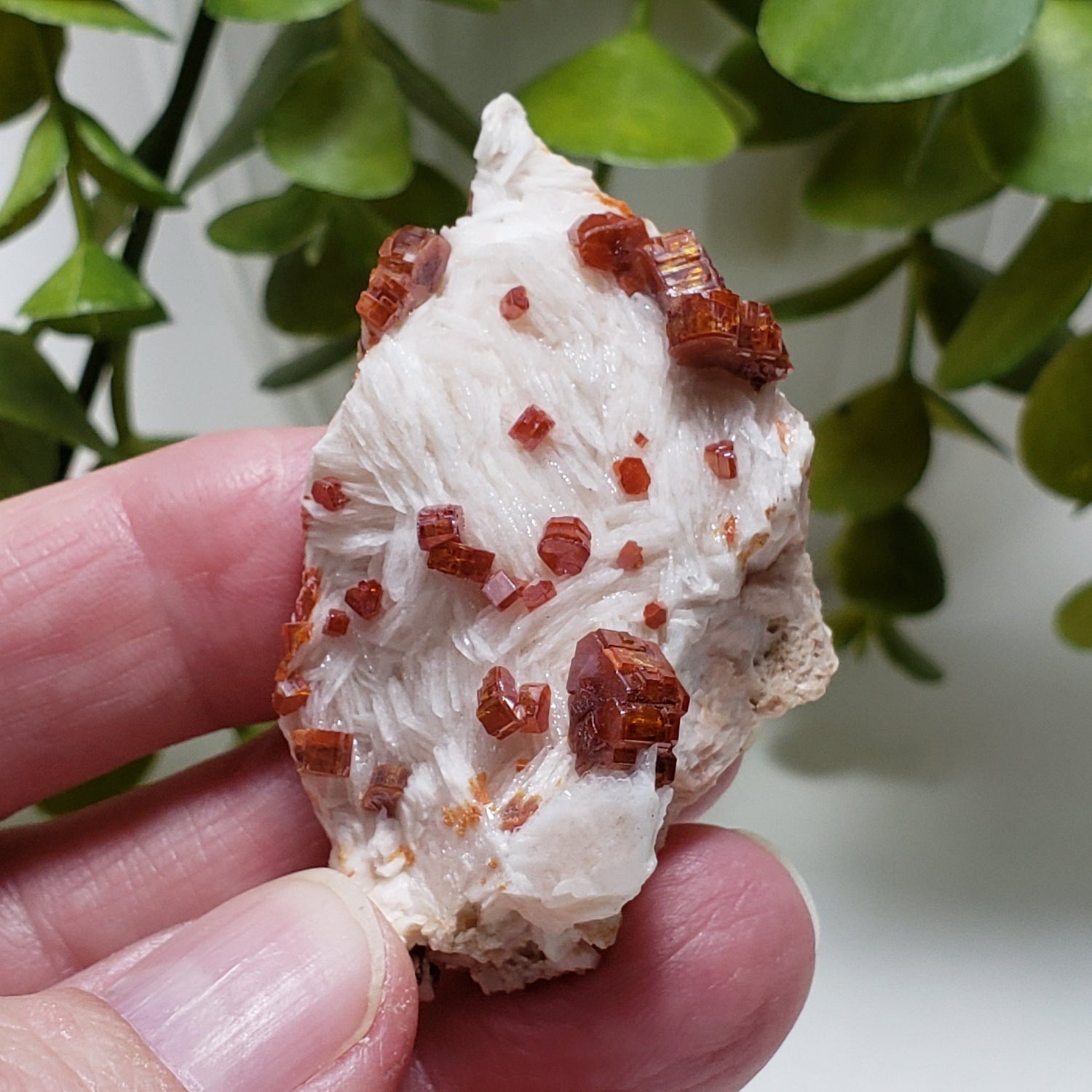 Vanadinite on Barite Crystal | Cubic Red Brown Mineral |  59.9 Gr | Mibladen, Morocco