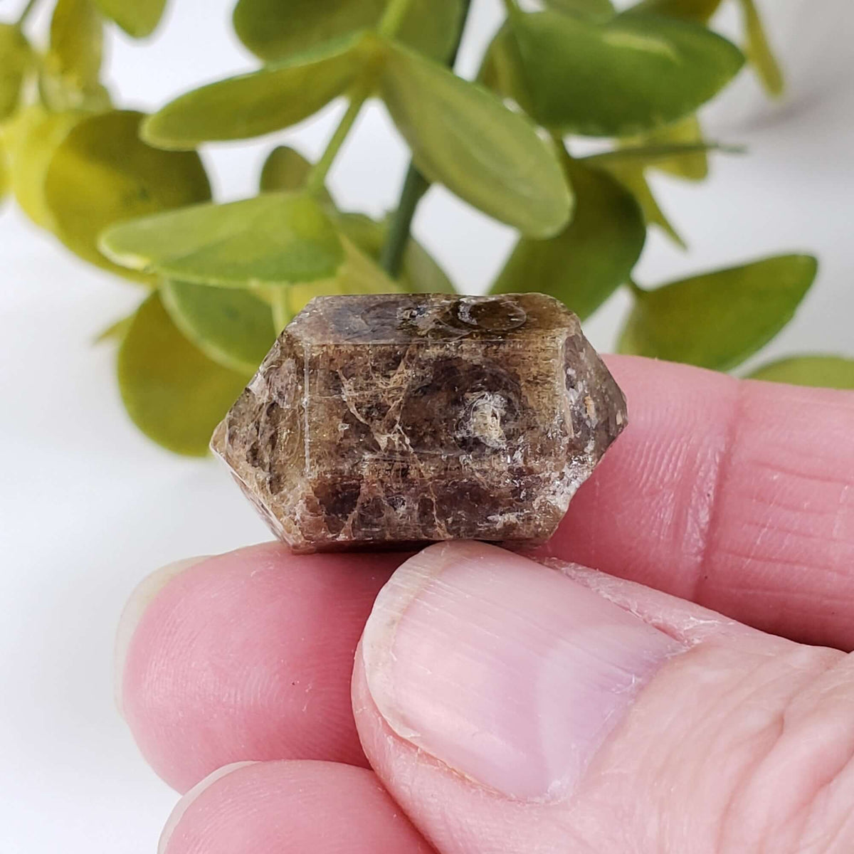 Vesuvianite Crystal | 11.5 Gr | Famous Mineral | Imilchil, Morocco