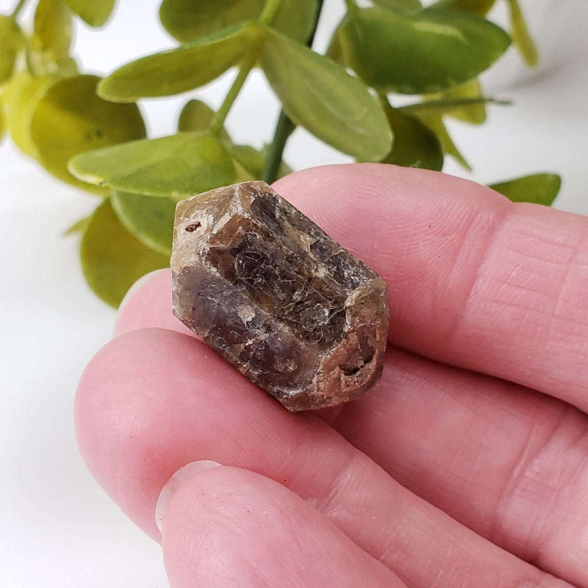 Vesuvianite Crystal | 11.5 Gr | Famous Mineral | Imilchil, Morocco